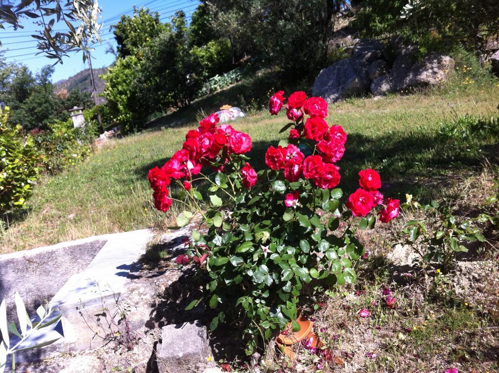 Al Vivenda Romantica Герес Екстериор снимка